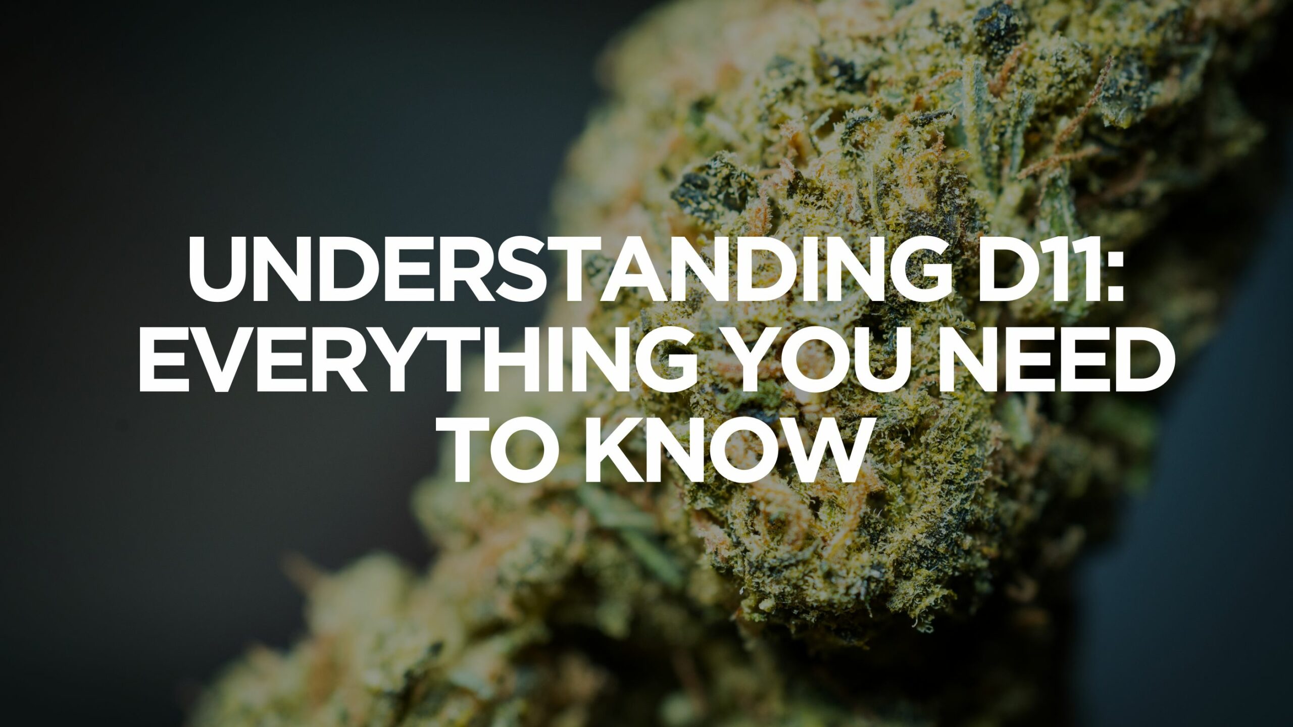 What Is a Delta 9 THC High Like