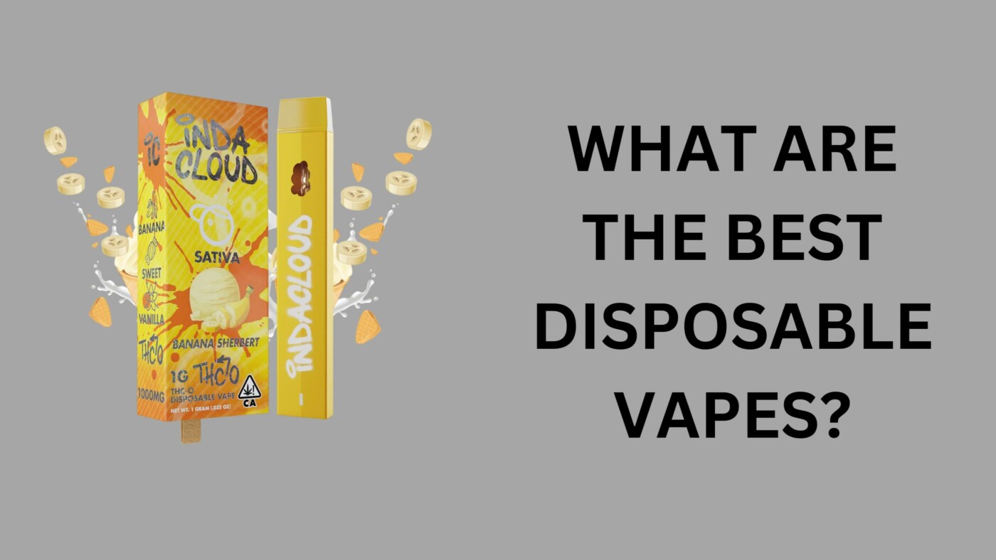What Are The Best Disposable Vapes