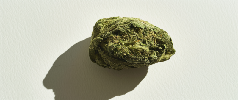 Will Delta 8 Get Me Stone? Uncovering The Stone Effect 21 Will Delta 8 Get Me Stone